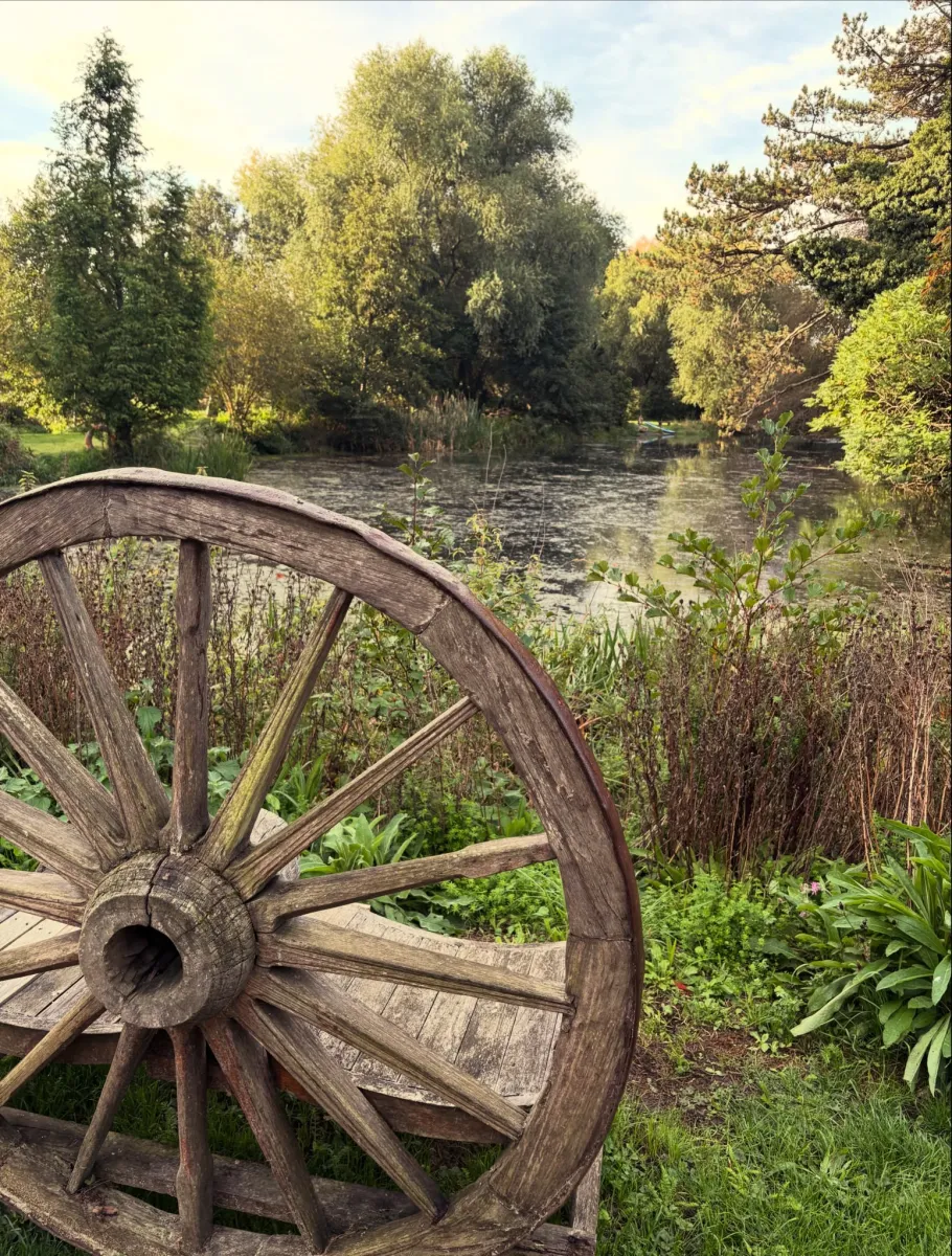 An old wooden cartwheel resting in the long grass beside the river at West Lexham, with trees reflected in the water beyond