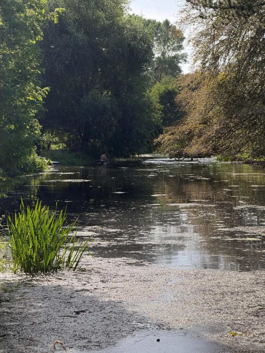 The river at West Lexham in afternoon light, overhung with trees, with a swimmer in the distance